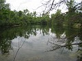 Matthaei Botanical Gardens 2010 0485